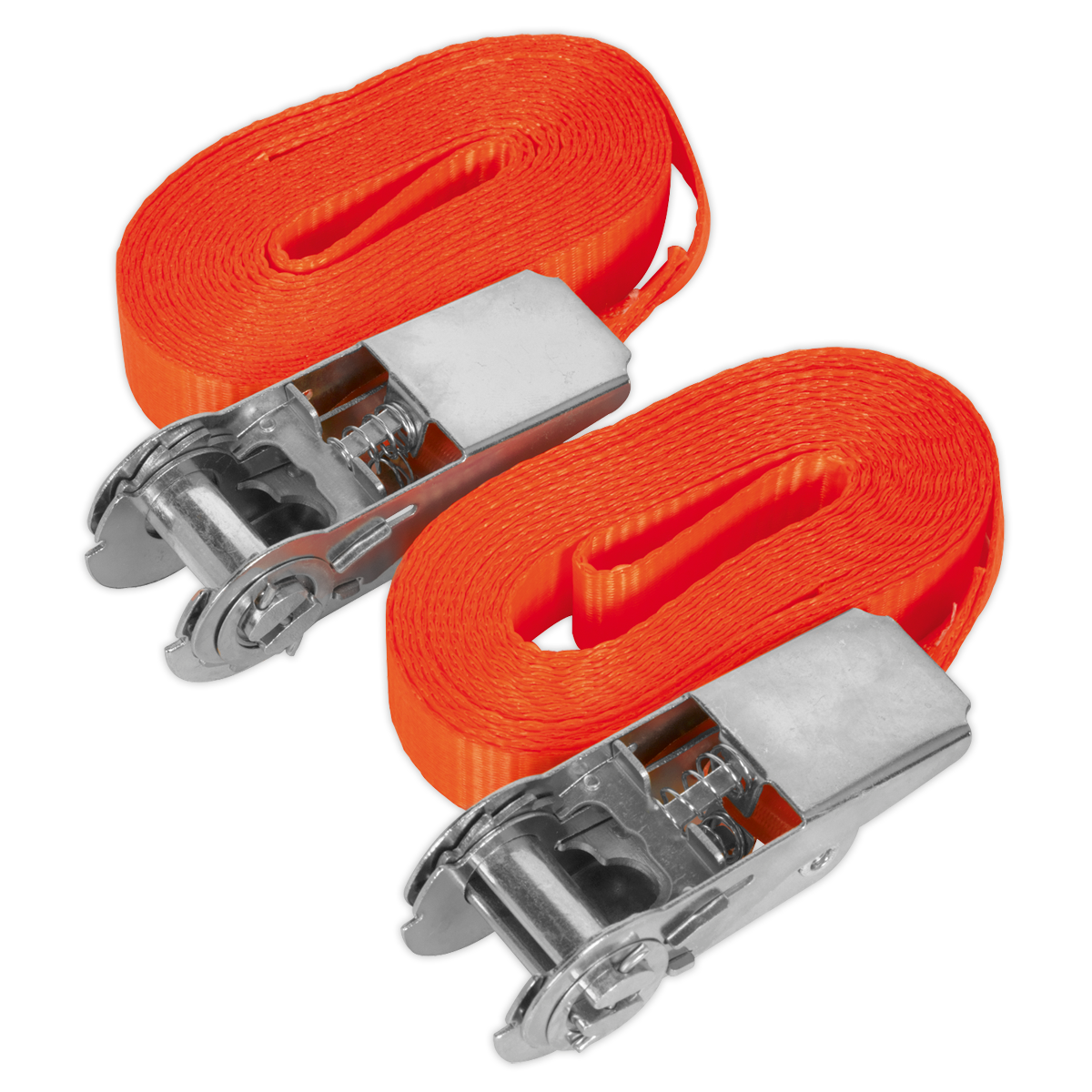 Sealey 25mm x 4.5m Self-Securing Ratchet Tie Down 800kg Breaking Strength - Pair TD08045E