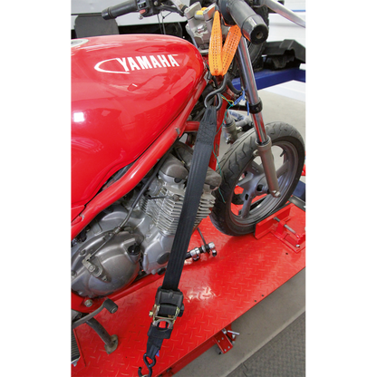 Sealey Tie Down Securing Loop - Pair TDL01