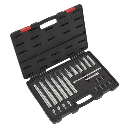 Sealey 24pc Suspension Strut Socket Set VS0332