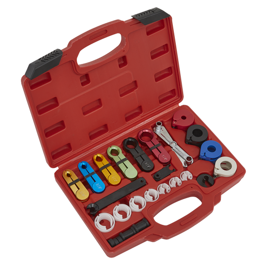 Sealey 21pc Fuel & Air Conditioning Disconnection Tool Kit VS0457