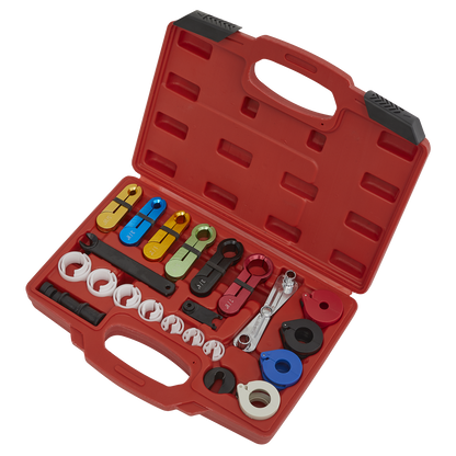 Sealey 21pc Fuel & Air Conditioning Disconnection Tool Kit VS0457