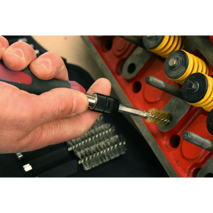 Sealey 20pc Cleaning & Decarbonising Brush Set VS1800