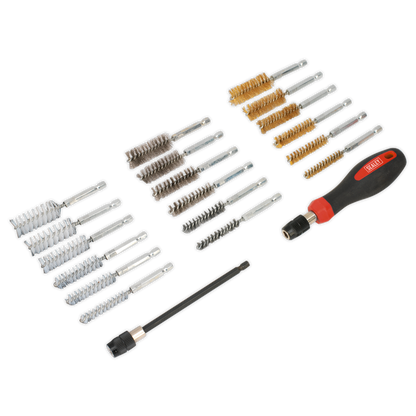 Sealey 20pc Cleaning & Decarbonising Brush Set VS1800