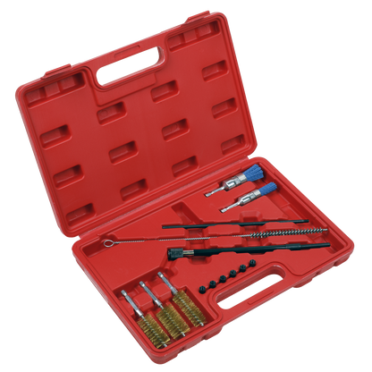 Sealey 14pc Injector Bore Cleaning Brush Set VS1900