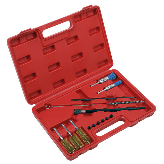 Sealey 14pc Injector Bore Cleaning Brush Set VS1900