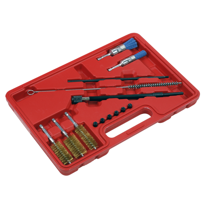 Sealey 14pc Injector Bore Cleaning Brush Set VS1900