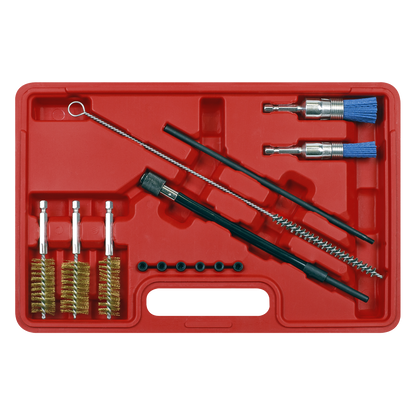 Sealey 14pc Injector Bore Cleaning Brush Set VS1900