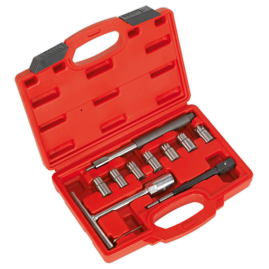 Sealey 10pc Diesel Injector Seat Cleaner Set VS2055
