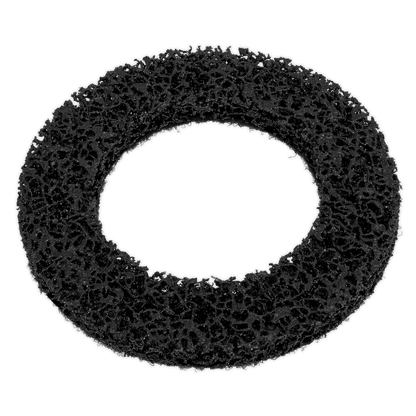 Sealey Cleaning Disc for VS8001 VS8001A