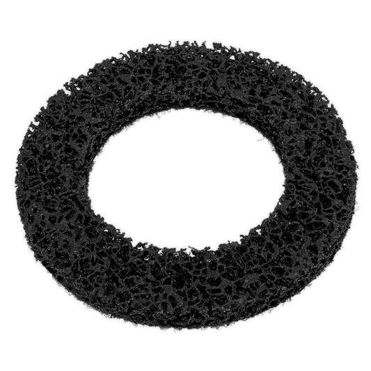 Sealey Cleaning Disc for VS8001 VS8001A