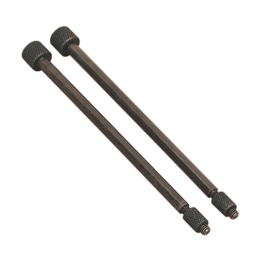Sealey Door Hinge Removal Pin Ø3 x 110mm - Pack of 2 VS803/01