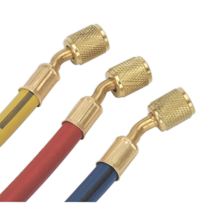 Sealey Air Conditioning System Manifold with Sight Glass VSAC002
