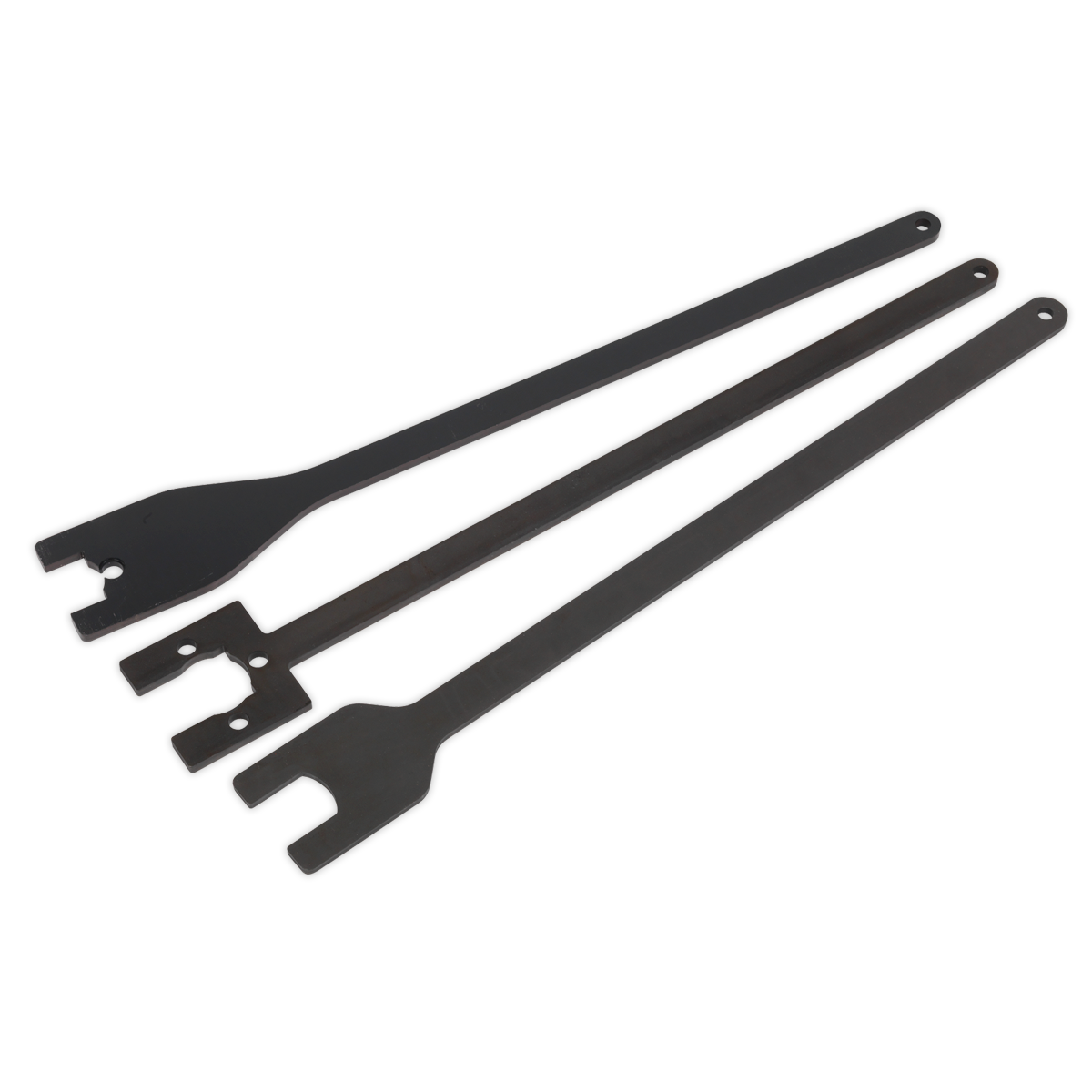 Sealey Viscous Fan Spanner Set - for Land Rover/Range Rover - Chain Drive VSE3042
