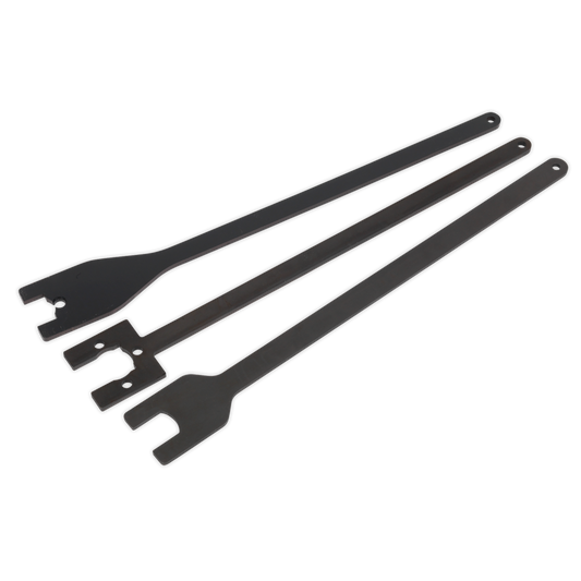 Sealey Viscous Fan Spanner Set - for Land Rover/Range Rover - Chain Drive VSE3042