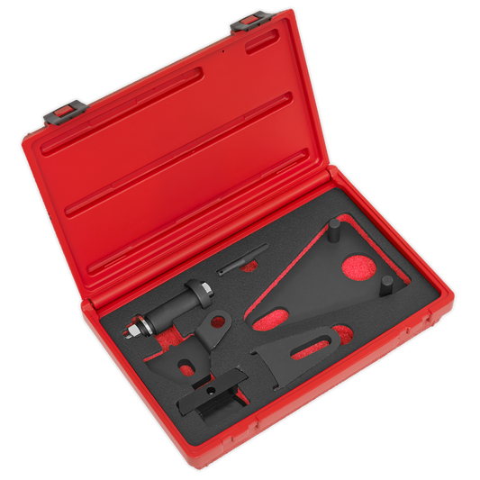 Sealey Front Pulley & Flywheel Locking Tool Set VSE5032