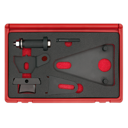 Sealey Front Pulley & Flywheel Locking Tool Set VSE5032