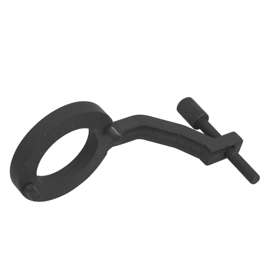 Sealey Fuel Pump Holding Tool - for Jaguar, Land Rover 3.0D - Belt Drive VSE5312