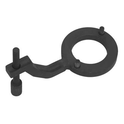 Sealey Fuel Pump Holding Tool - for Jaguar, Land Rover 3.0D - Belt Drive VSE5312