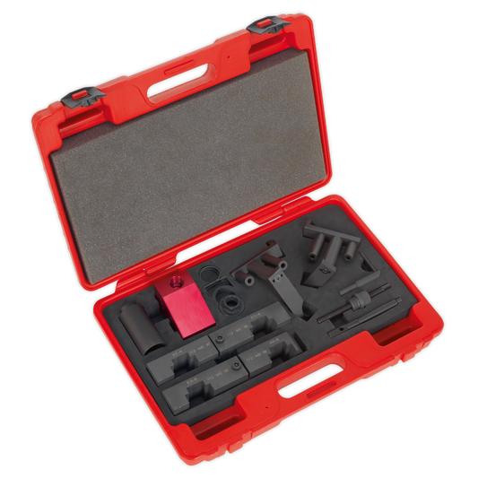 Sealey Petrol Engine Timing Tool Kit - for BMW, Land Rover, Morgan M60/M62- Chain Drive VSE5555