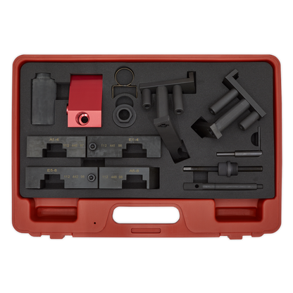 Sealey Petrol Engine Timing Tool Kit - for BMW, Land Rover, Morgan M60/M62- Chain Drive VSE5555