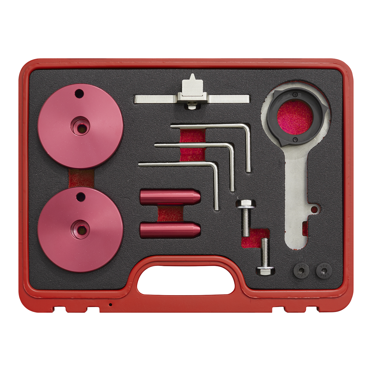 Sealey Diesel Engine Timing Tool Kit - for Ford 2.0TDCi EcoBlue - Belt Drive VSE5640