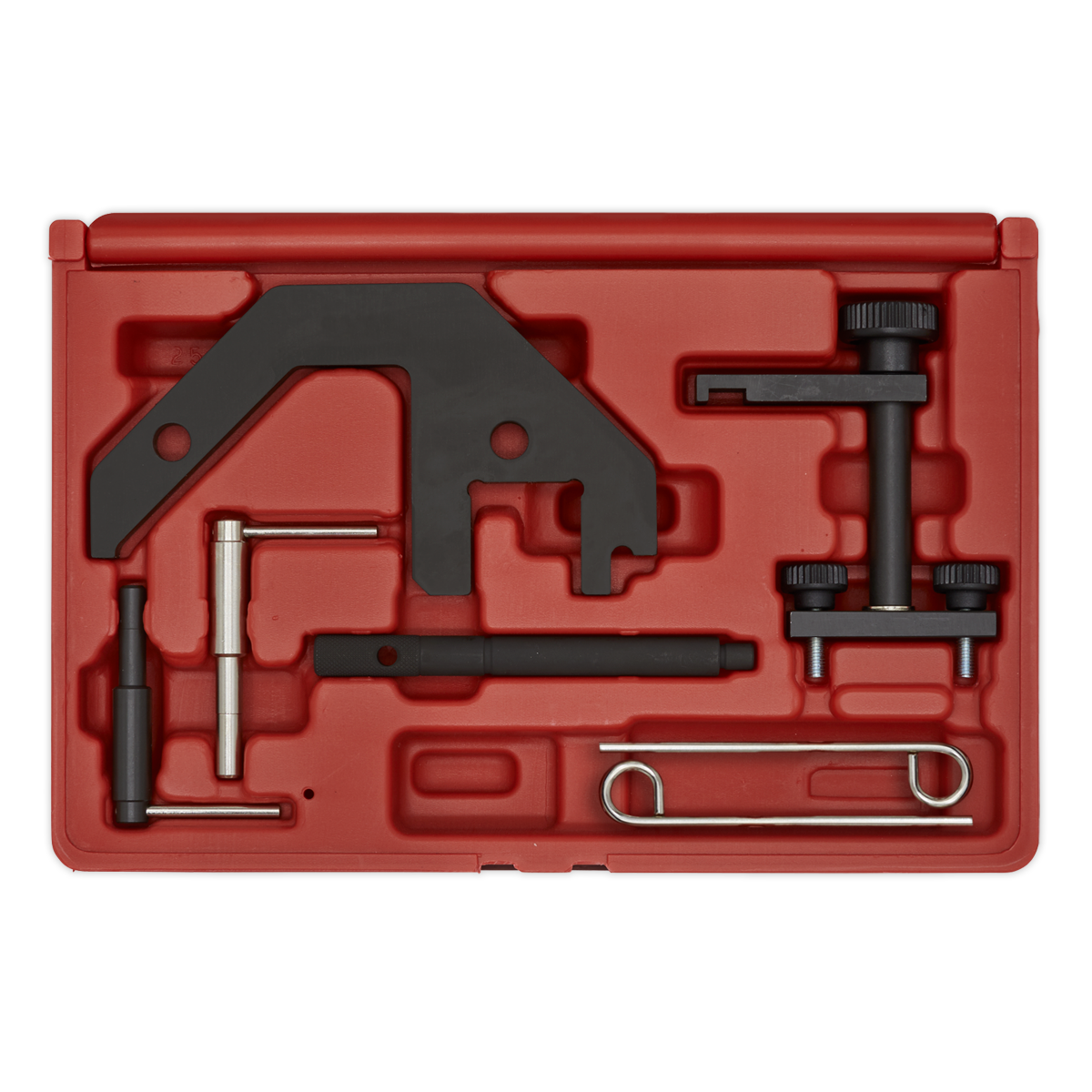 Sealey Diesel Engine Timing Tool Kit - for BMW M47/M57, Land Rover TD4/TD6, MG 2.0D, GM 2.5D - Chain Drive VSE5666