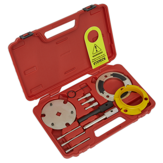Sealey Diesel Timing Tool & Fuel Injection Pump Kit - 2.0D, 2.2D & 2.4D Duratorq - Chain Drive VSE5841A