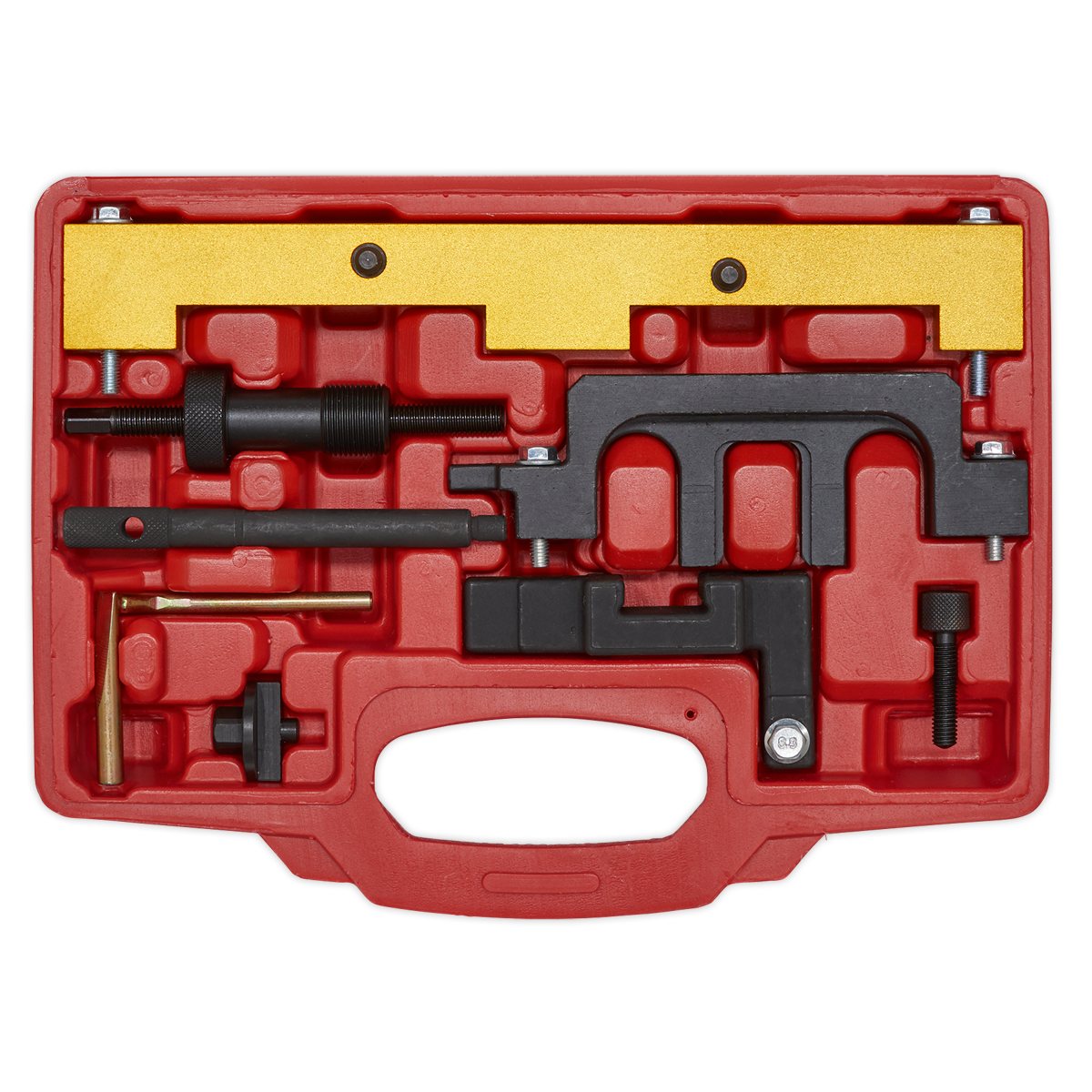 Sealey Petrol Engine Timing Tool Kit - for BMW 1.8, 2.0 N42/N46/N46T - Chain Drive VSE5911A