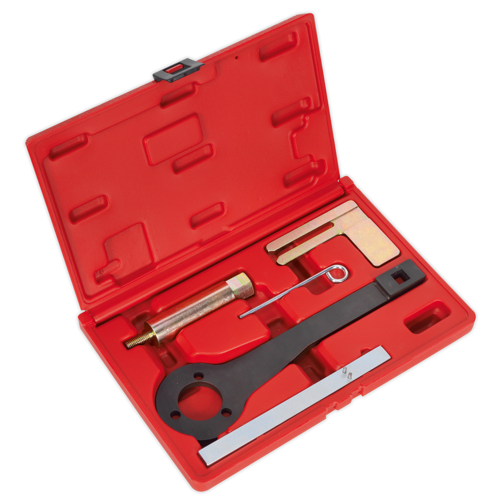 Sealey Petrol Engine Balance Shaft Alignment Tool Kit - for BMW, BMW Mini, Citroen, Peugeot - Chain Drive VSE6156