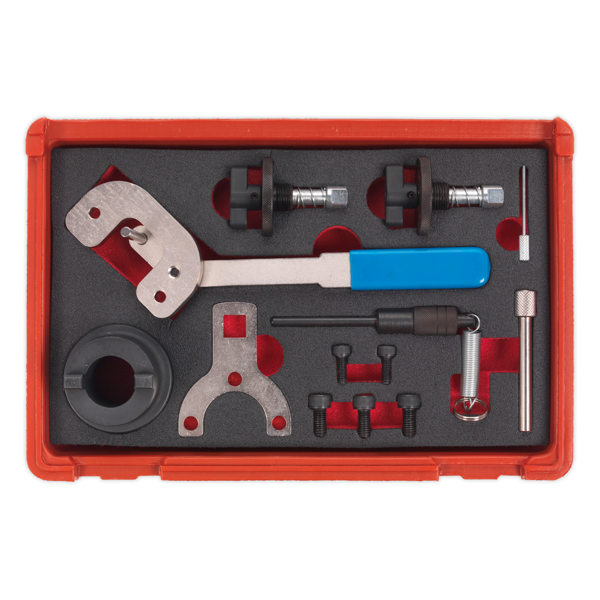 Sealey Diesel Engine Timing Tool Kit - for Alfa Romeo, Ford, PSA, Suzuki, GM 1.3D 16v - Chain Drive VSE6191