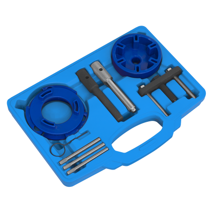 Sealey Timing Tool & Fuel Injection Pump Kit - Ford, PSA, LDV VSE6940