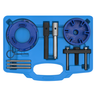 Sealey Timing Tool & Fuel Injection Pump Kit - Ford, PSA, LDV VSE6940