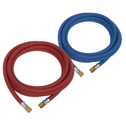Sealey 10m Oxyacetylene Welding Hose Set WH10