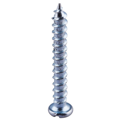 Amtech 4mm x 30mm   SELF TAPPING SCREW (22PC) Z0205