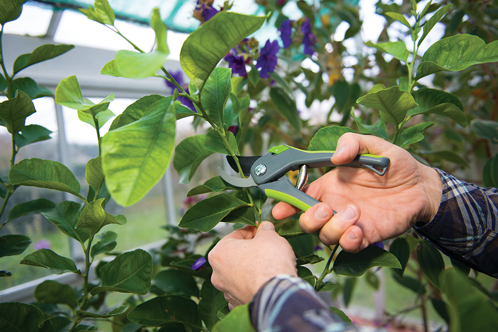 Silverline Bypass Secateurs 200mm