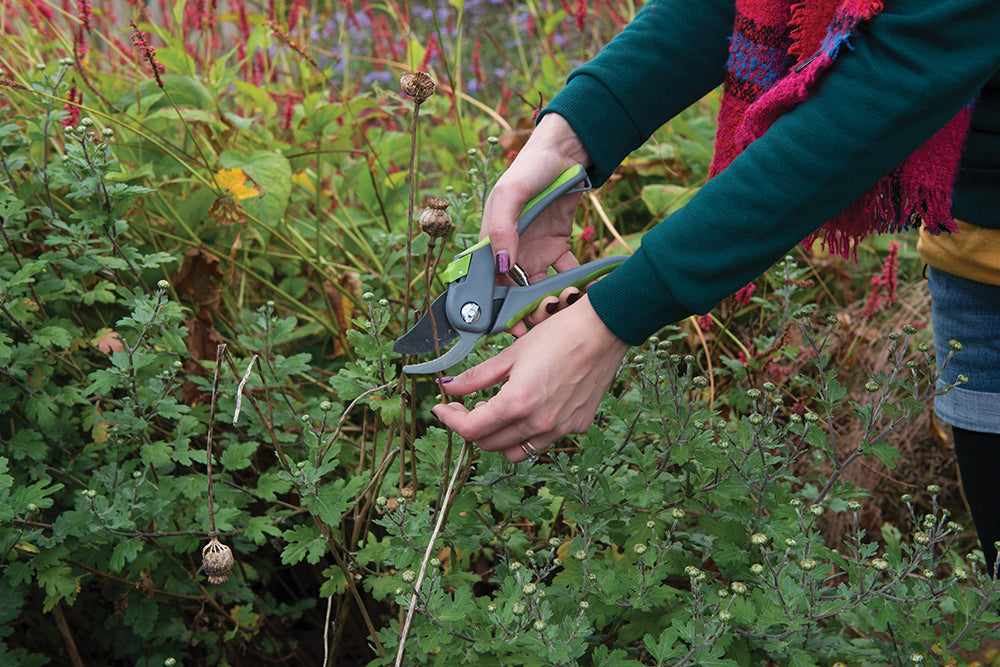 Silverline Bypass Secateurs 200mm