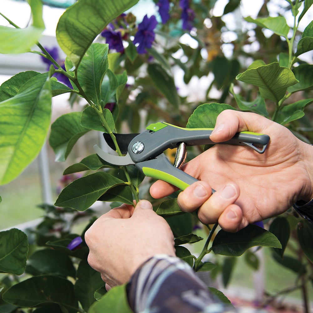 Silverline Bypass Secateurs 200mm